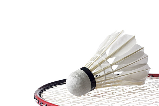 在这样一个 在这样一个