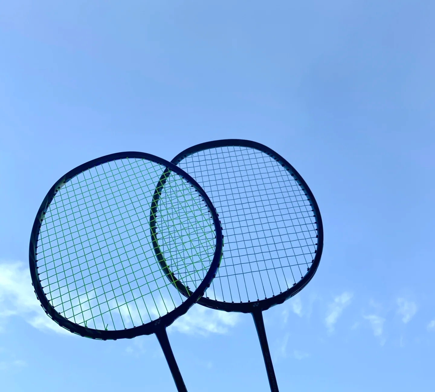 球球迷的尊 球球迷的尊